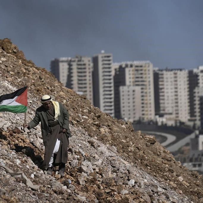 Palestinian who allegedly tried to stab Israeli fatally shot